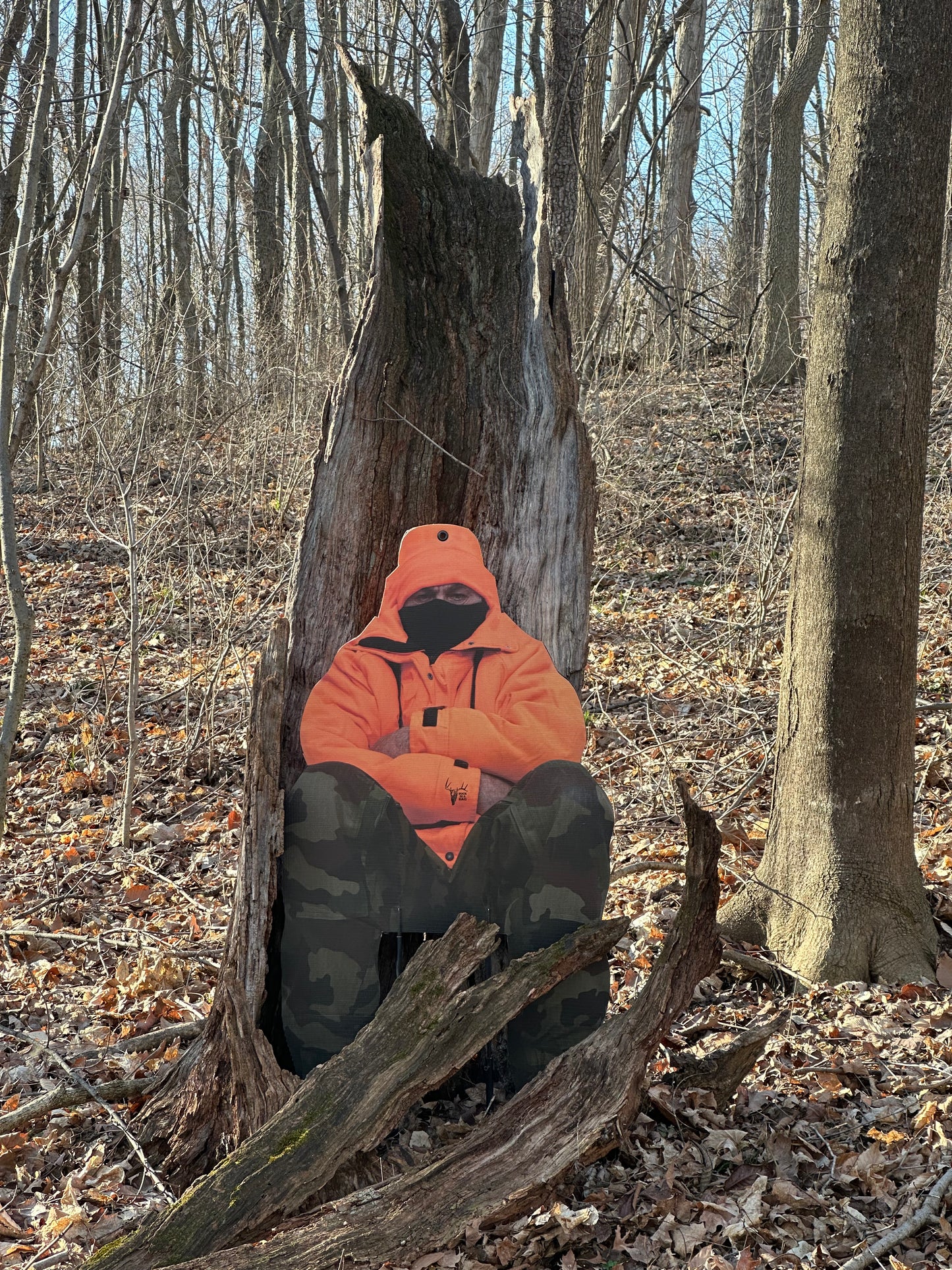 The Landowner