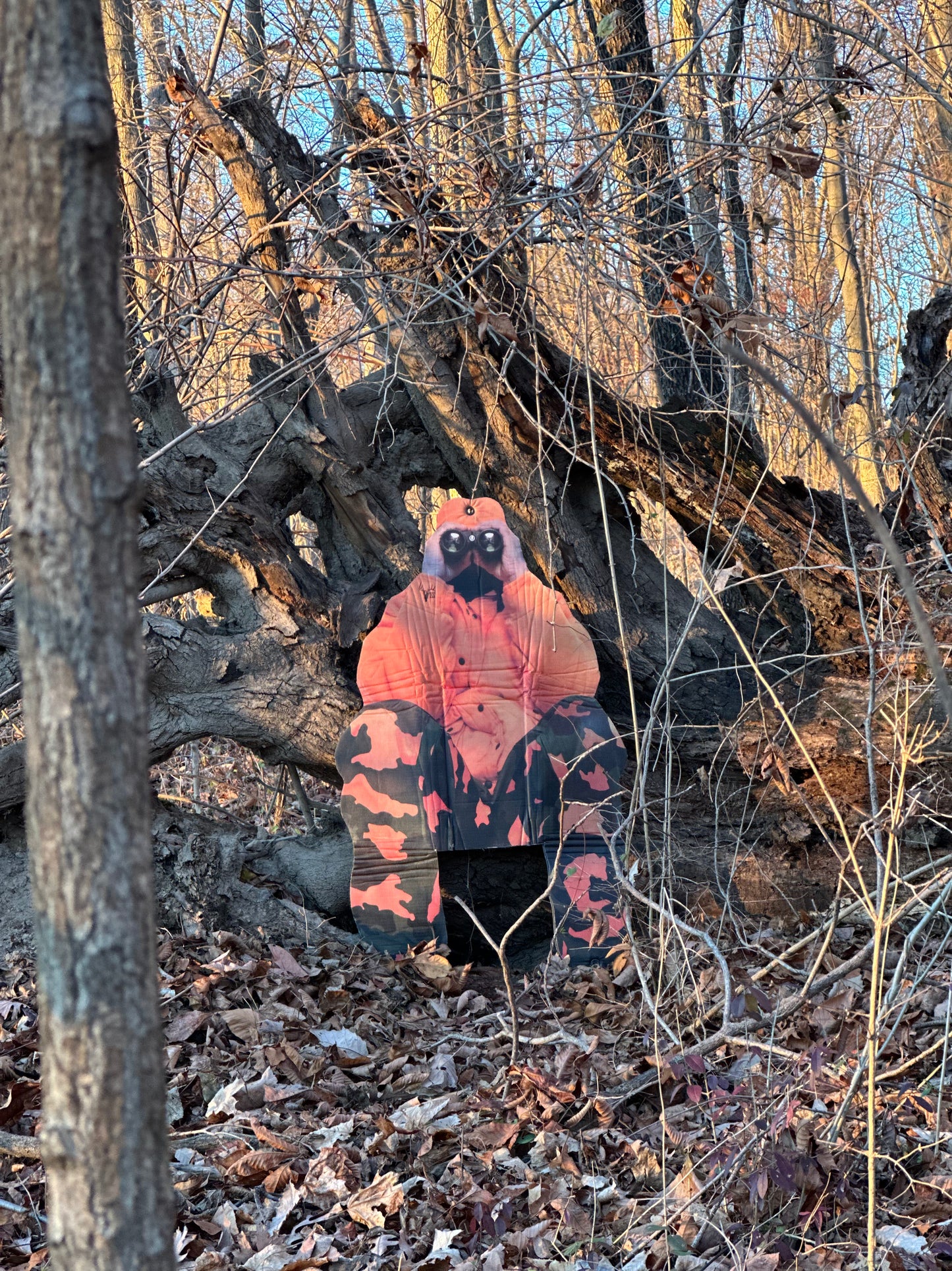 The Landowner