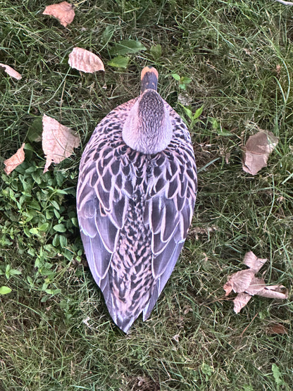 “Floaters” (Flats) Floating Silhouettes. Drake / Hen